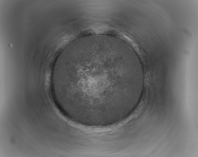 X0000111870018200907231522
