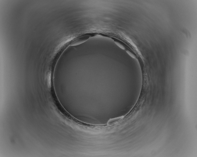 X0000111870019200907231522