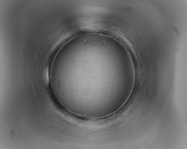 X0000111870020200907231522