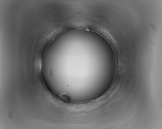 X0000111870021200907231522