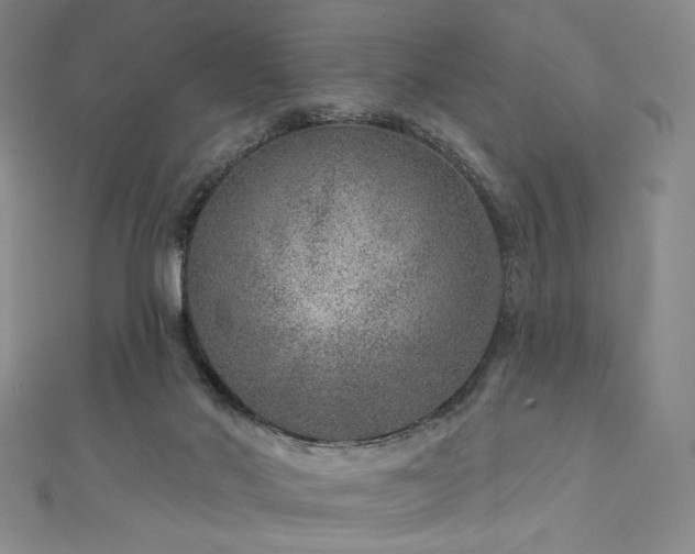 X0000111870022200907231522