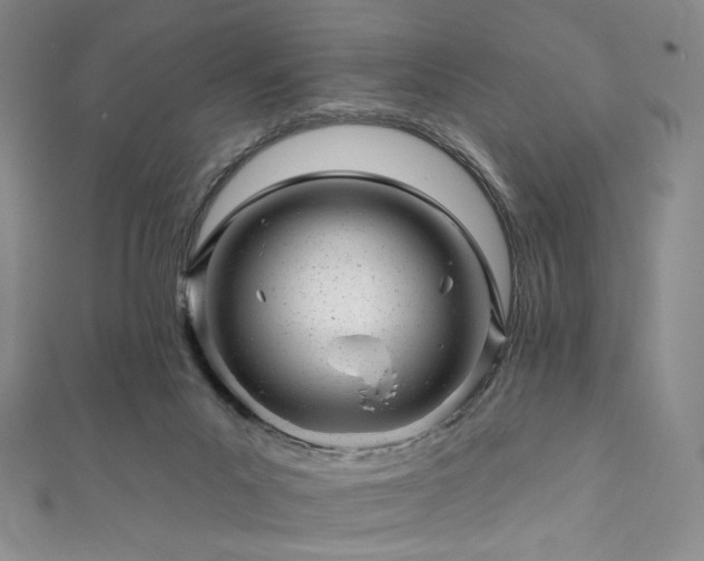 X0000111870023200907231522