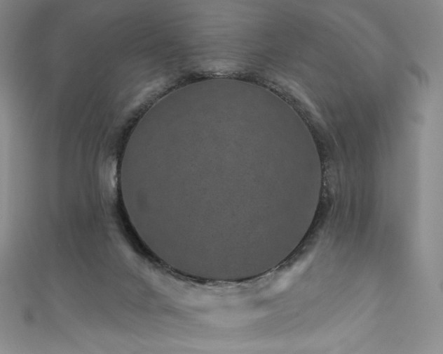 X0000111870024200907231522
