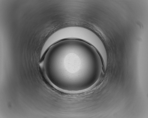 X0000111870025200907231522