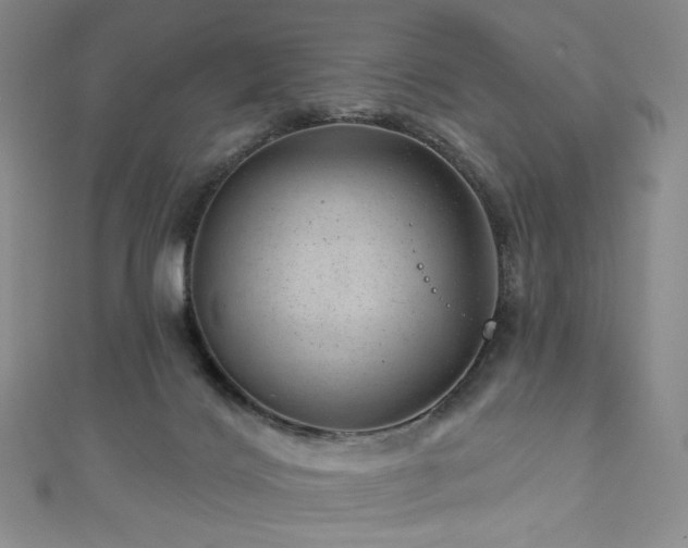 X0000111870028200907231522