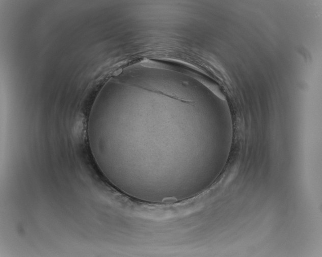 X0000111870029200907231522