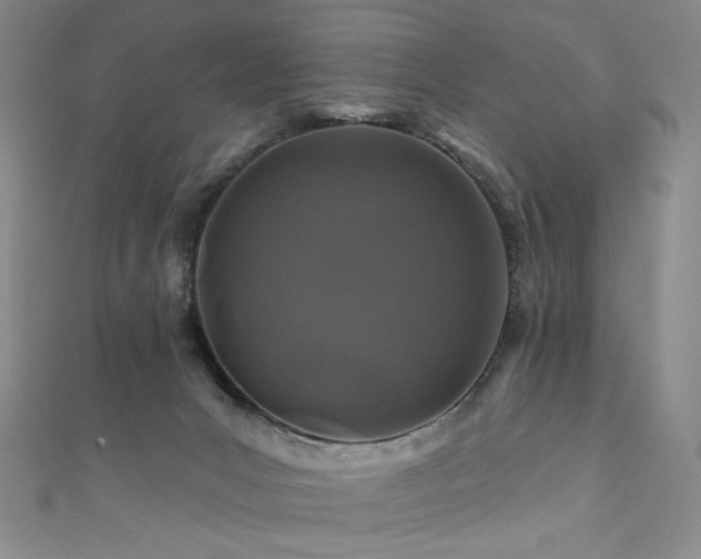 X0000111870031200907231522