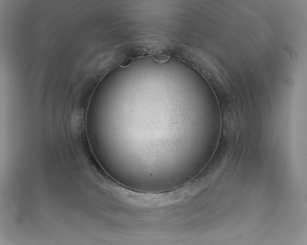X0000111870034200907231522