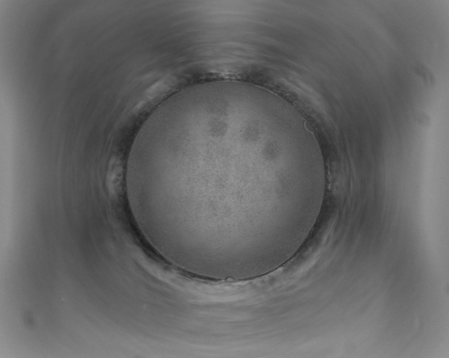 X0000111870036200907231521