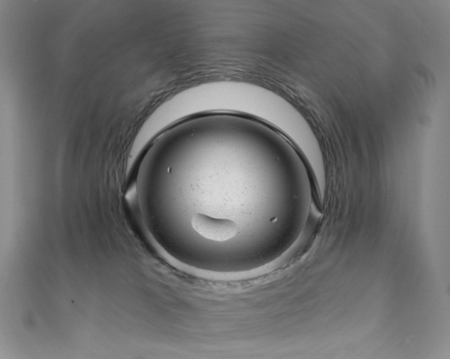 X0000111870037200907231521