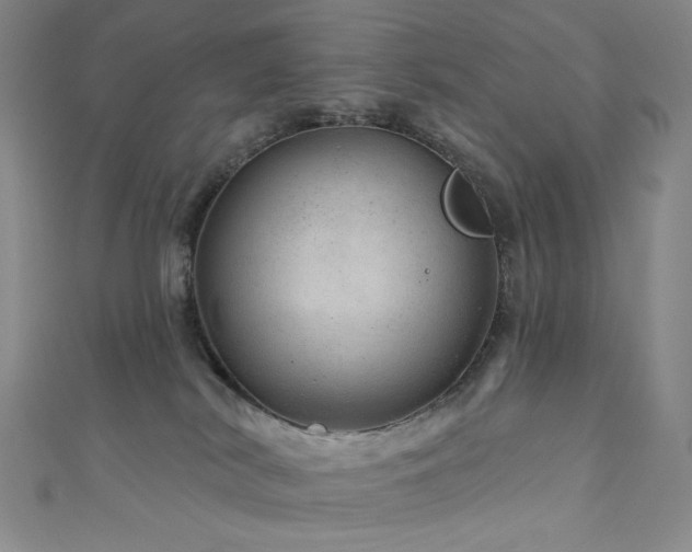 X0000111870038200907231521