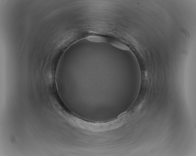 X0000111870039200907231521