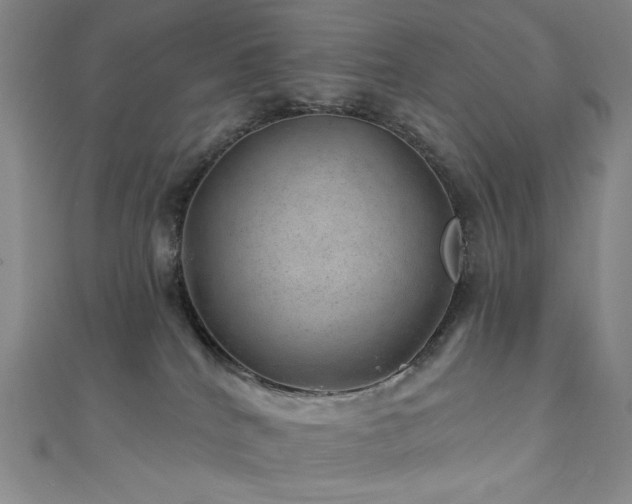 X0000111870040200907231521