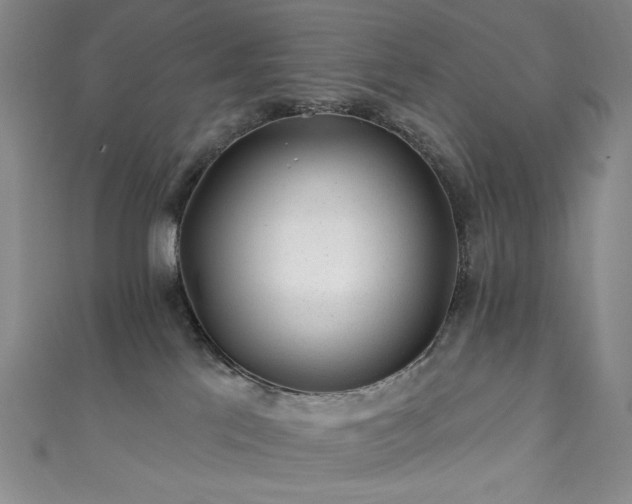 X0000111870041200907231521