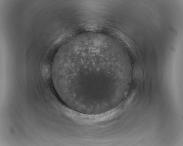 X0000111870043200907231521