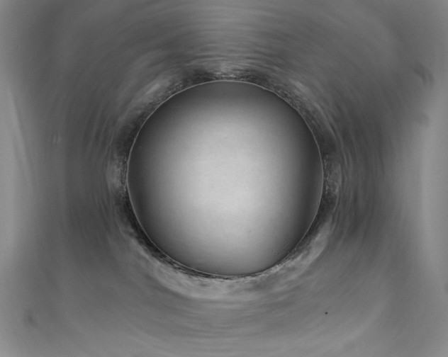 X0000111870044200907231521