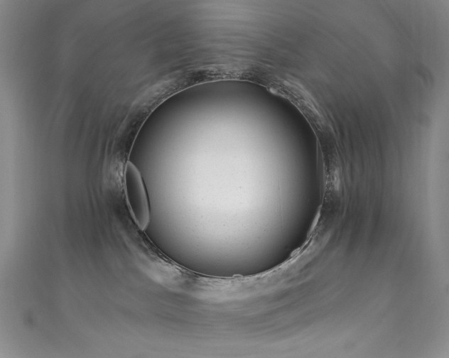 X0000111870045200907231521