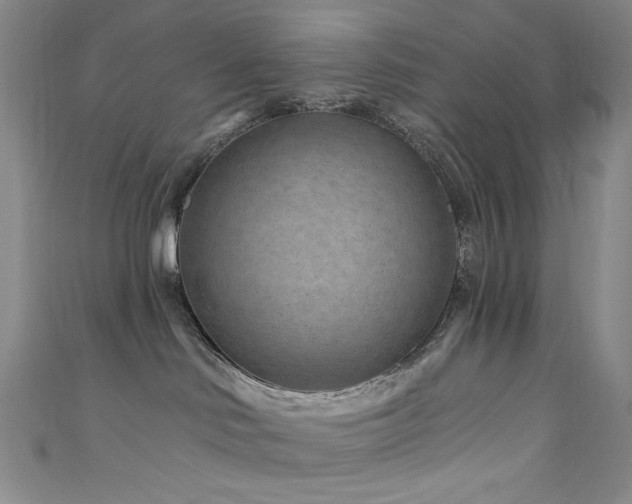 X0000111870046200907231521