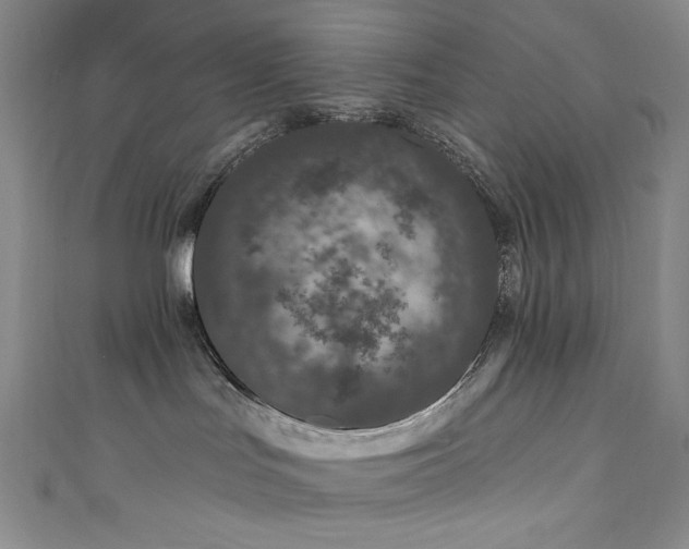 X0000111870047200907231521