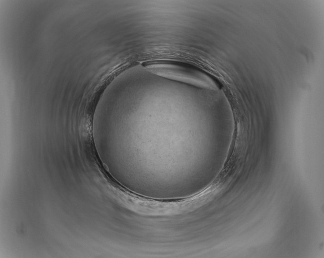 X0000111870048200907231521