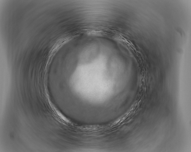 X0000111870049200907231521