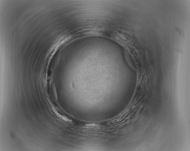 X0000111870050200907231521