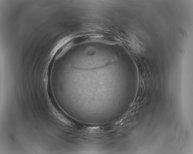 X0000111870054200907231521