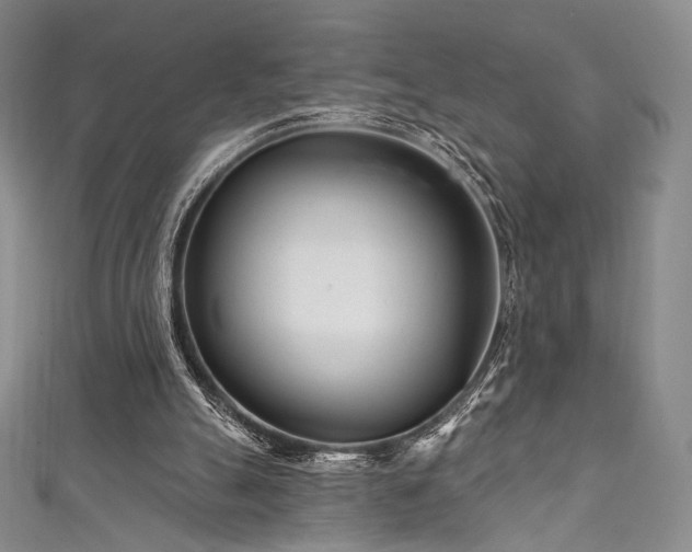 X0000111870055200907231521
