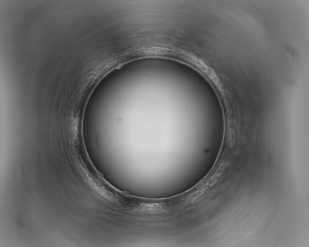 X0000111870057200907231521