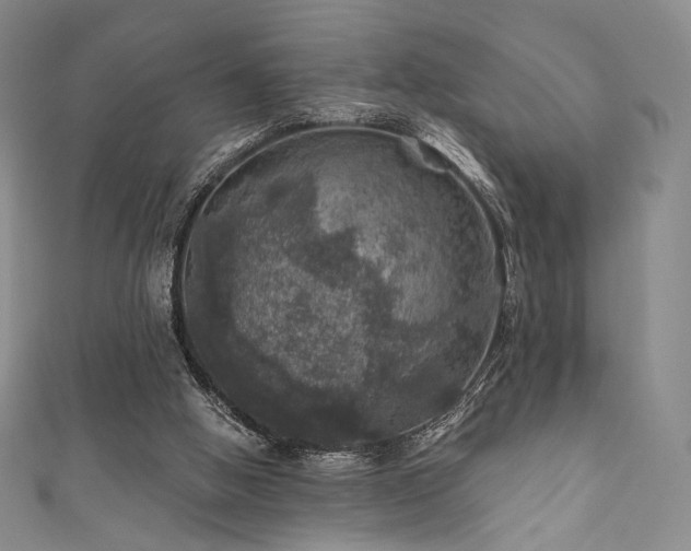 X0000111870058200907231521