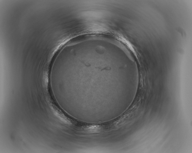 X0000111870059200907231521