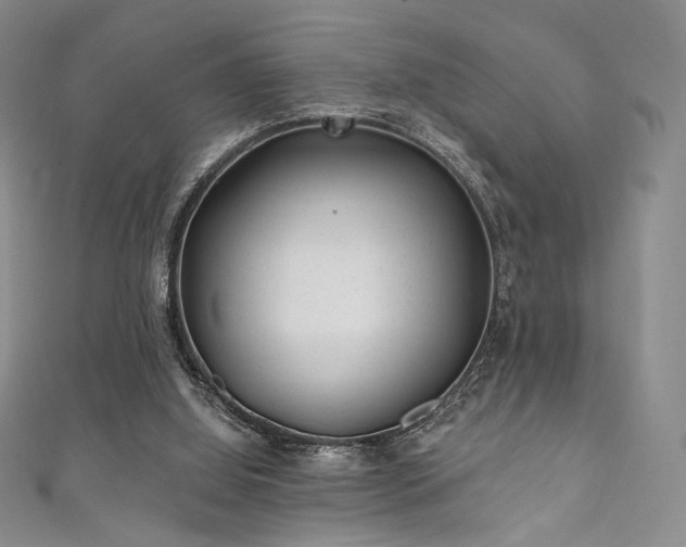 X0000111870060200907231521