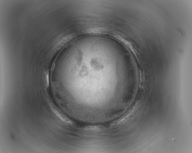 X0000111870061200907231521