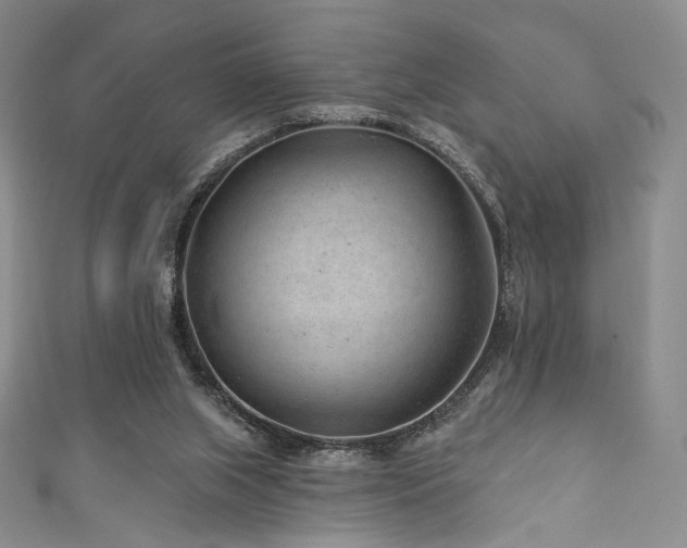 X0000111870063200907231521