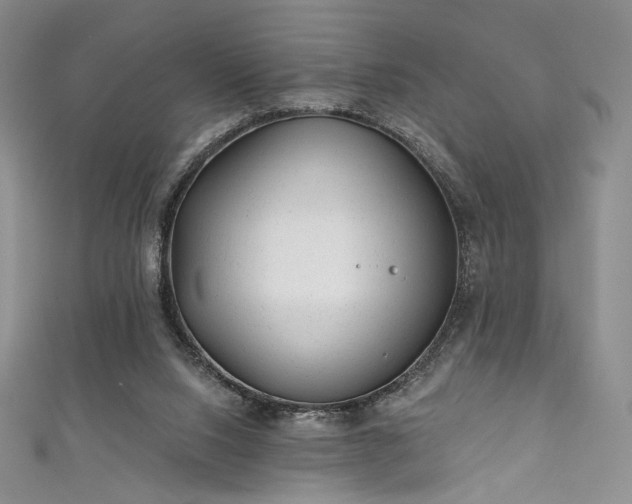 X0000111870064200907231521