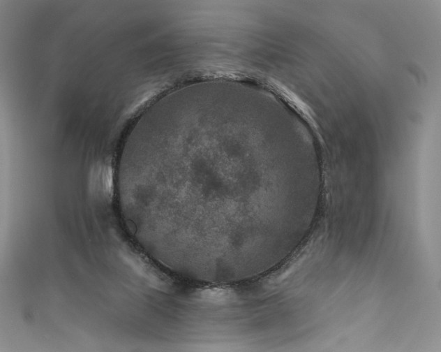 X0000111870067200907231521