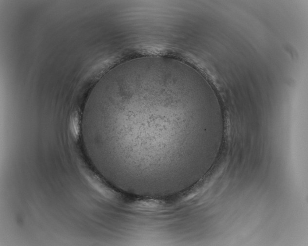 X0000111870069200907231521