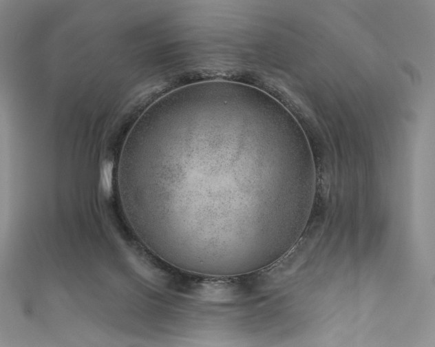 X0000111870070200907231521