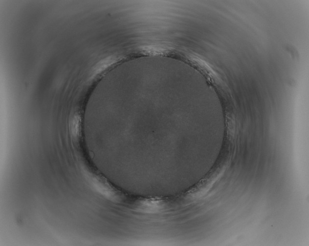 X0000111870071200907231521