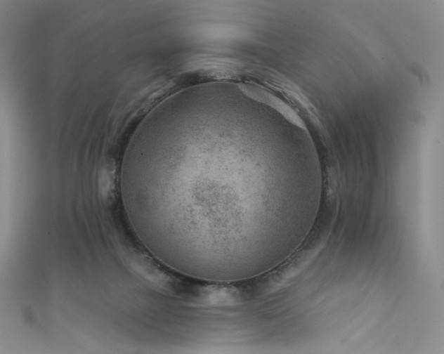 X0000111870073200907231521