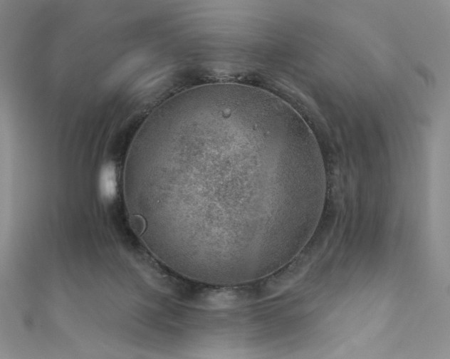 X0000111870075200907231521