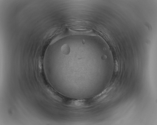 X0000111870078200907231521