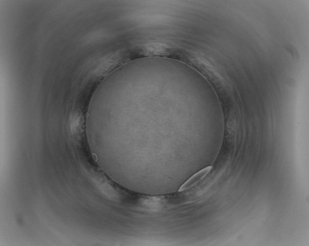 X0000111870079200907231521