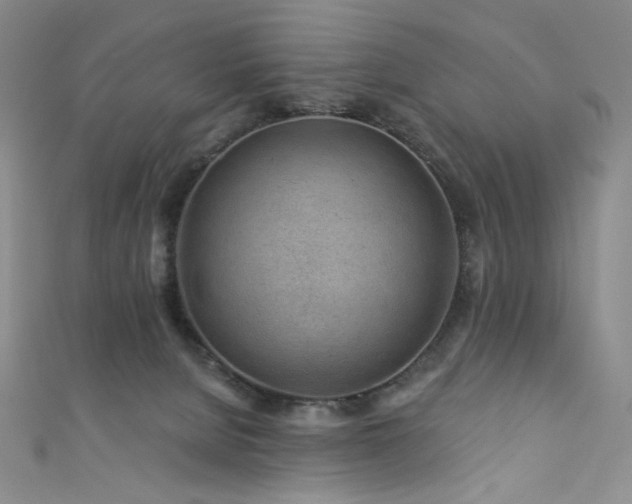 X0000111870080200907231521