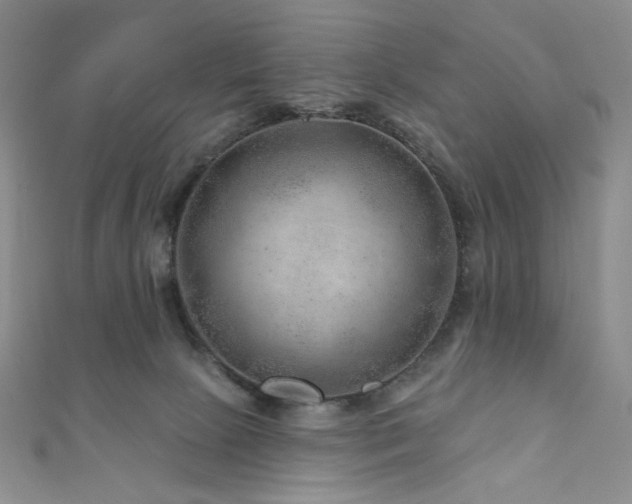 X0000111870081200907231521