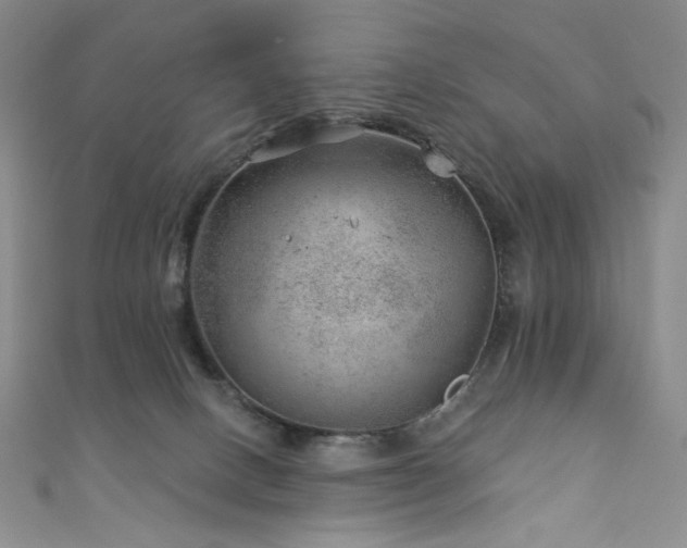 X0000111870082200907231521