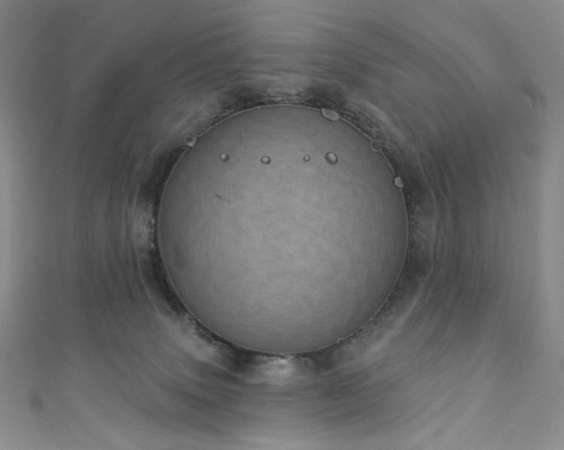 X0000111870083200907231521