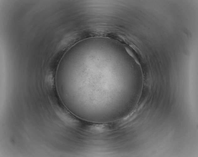 X0000111870086200907231521