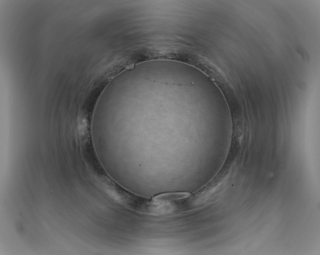 X0000111870087200907231521