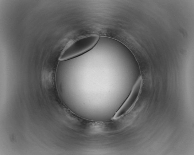 X0000111870088200907231521
